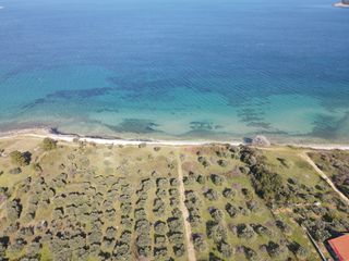 Αγροτεμάχια 1.305 τ.μ. για πώληση, Ν. Καβάλας, Θάσος-thumb-5