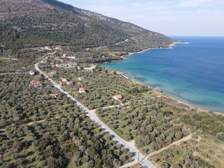 Αγροτεμάχια 1.305 τ.μ. για πώληση, Ν. Καβάλας, Θάσος-thumb-2