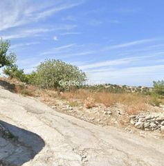 Αγροτεμάχια 5.510 τ.μ. για πώληση