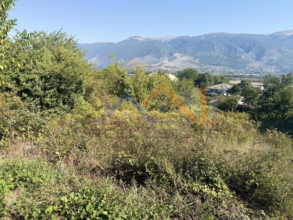 Οικόπεδο 524 τ.μ. πρός πώληση, Ν. Ιωαννίνων, Πασσαρώνα