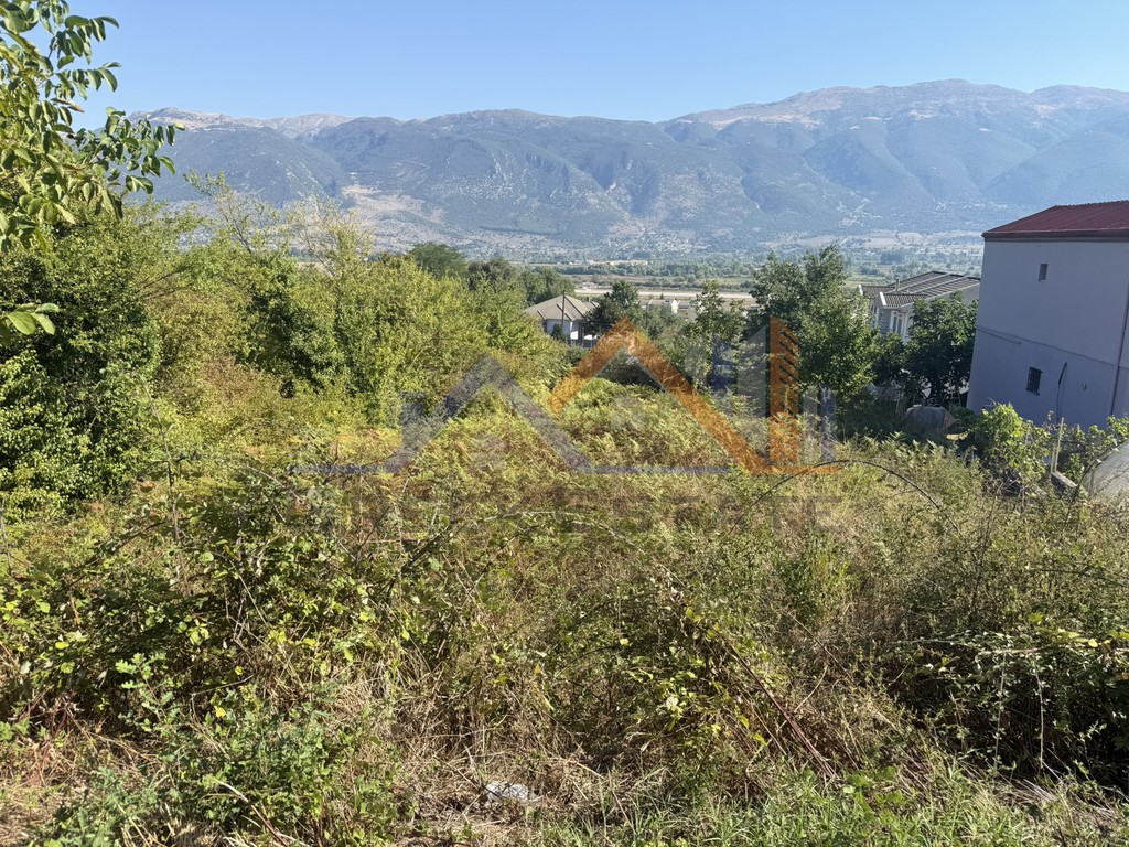 Οικόπεδο 524 τ.μ. πρός πώληση, Ν. Ιωαννίνων, Πασσαρώνα