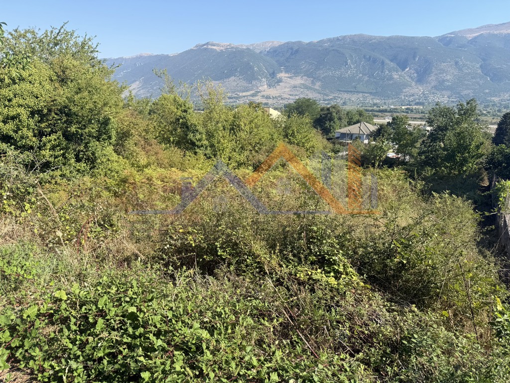 Οικόπεδο 524 τ.μ. πρός πώληση, Ν. Ιωαννίνων, Πασσαρώνα