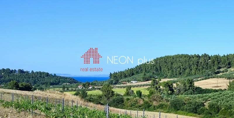 Αγροτεμάχια 17.000 τ.μ. πρός πώληση, Χαλκιδική, Κασσάνδρα