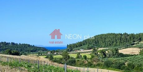 Αγροτεμάχια 17.000 τ.μ. πρός πώληση