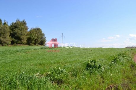 Αγροτεμάχια 3.350 τ.μ. πρός πώληση