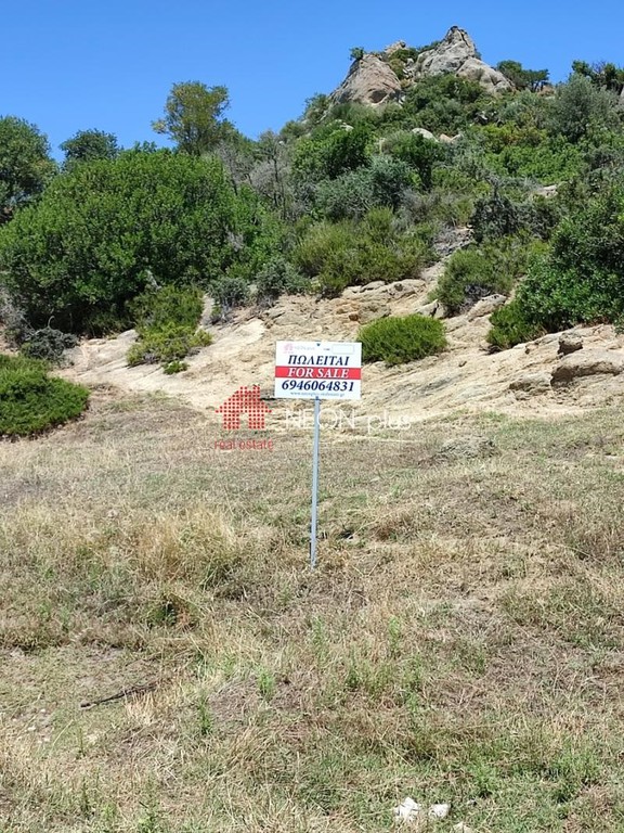 Οικόπεδο 500 τ.μ. πρός πώληση, Χαλκιδική, Τορώνη