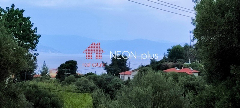 Οικόπεδο 3.500 τ.μ. πρός πώληση, Χαλκιδική, Παλλήνη