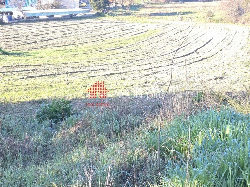 Οικόπεδο 1.179 τ.μ. πρός πώληση, Χαλκιδική, Κασσάνδρα