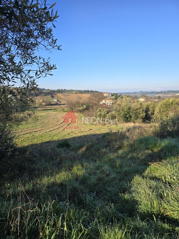 Οικόπεδο 1.179 τ.μ. πρός πώληση, Χαλκιδική, Κασσάνδρα