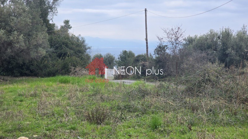 Αγροτεμάχια 1.460 τ.μ. πρός πώληση, Χαλκιδική, Κασσάνδρα