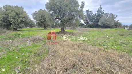 Αγροτεμάχια 1.460 τ.μ. πρός πώληση