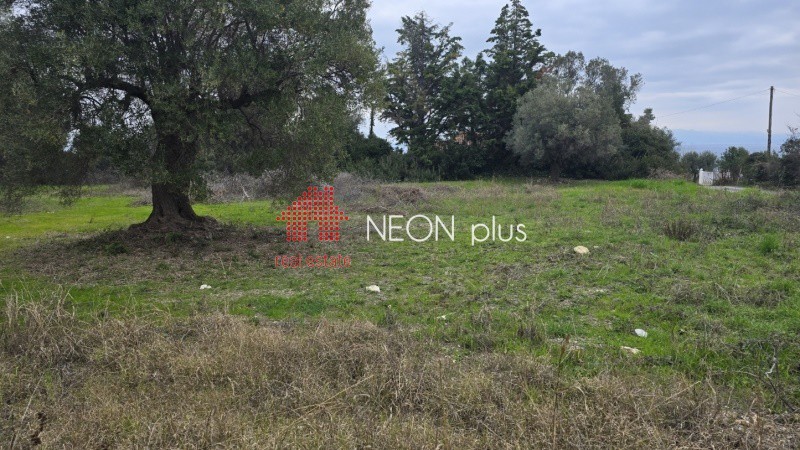 Αγροτεμάχια 1.460 τ.μ. πρός πώληση, Χαλκιδική, Κασσάνδρα