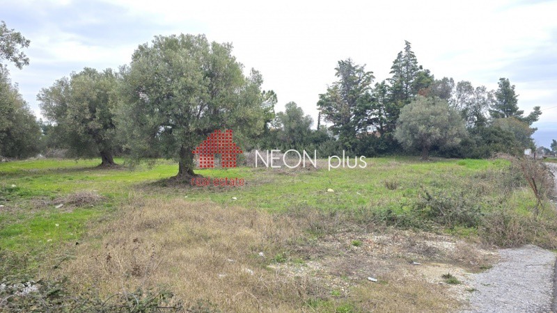 Αγροτεμάχια 1.460 τ.μ. πρός πώληση, Χαλκιδική, Κασσάνδρα
