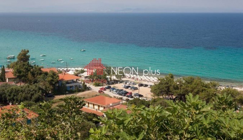 Αγροτεμάχια 4.500 τ.μ. πρός πώληση, Χαλκιδική, Κασσάνδρα