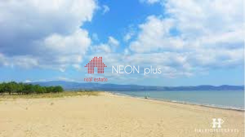 Αγροτεμάχια 1.290 τ.μ. πρός πώληση, Χαλκιδική, Μουδανιά