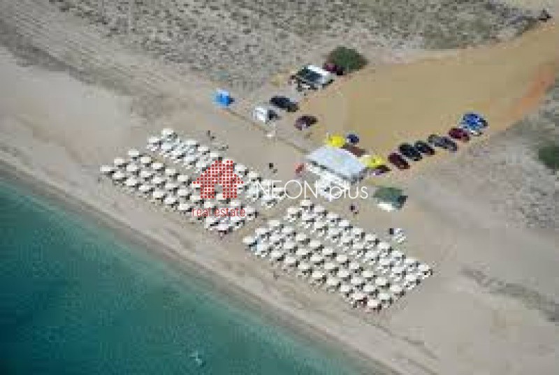 Αγροτεμάχια 1.290 τ.μ. προς πώληση, Χαλκιδική, Μουδανιά