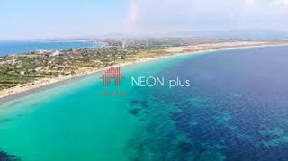 Αγροτεμάχια 1.290 τ.μ. για πώληση