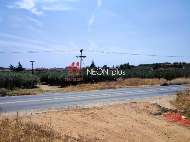 Αγροτεμάχια 2.074 τ.μ. προς πώληση, Χαλκιδική, Μουδανιά