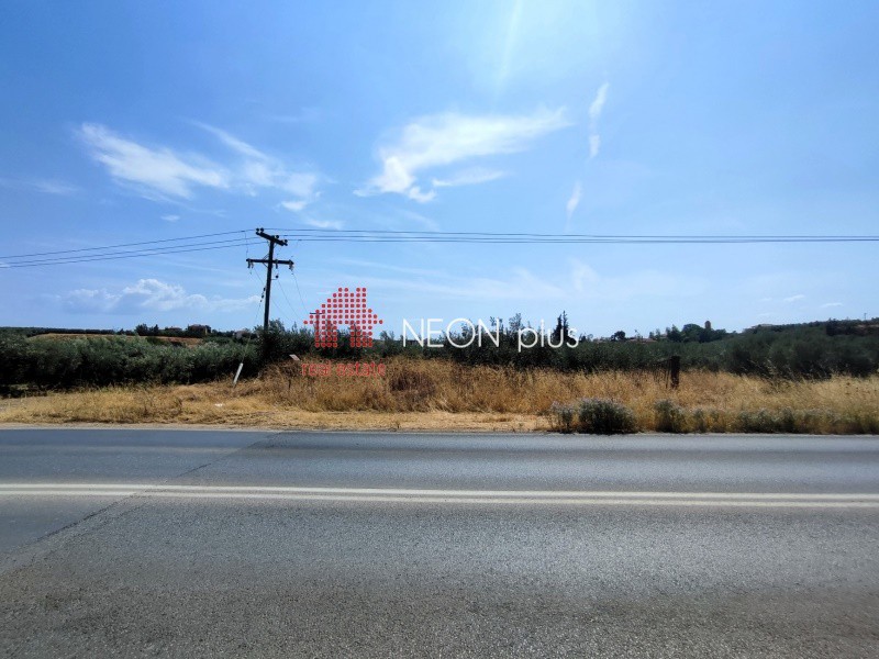 Αγροτεμάχια 2.074 τ.μ. προς πώληση, Χαλκιδική, Μουδανιά