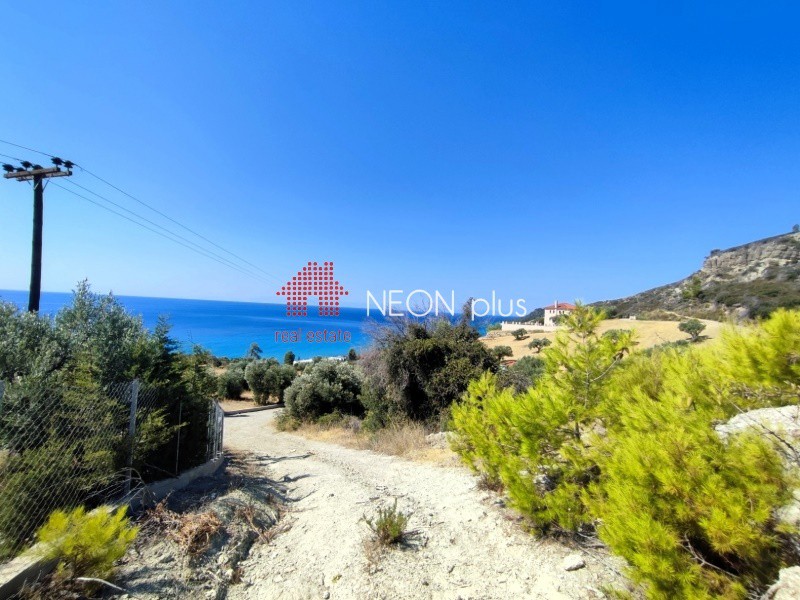 Αγροτεμάχια 4.735 τ.μ. πρός πώληση, Χαλκιδική, Κασσάνδρα