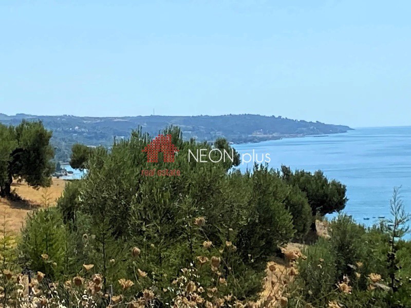 Αγροτεμάχια 4.735 τ.μ. πρός πώληση, Χαλκιδική, Κασσάνδρα