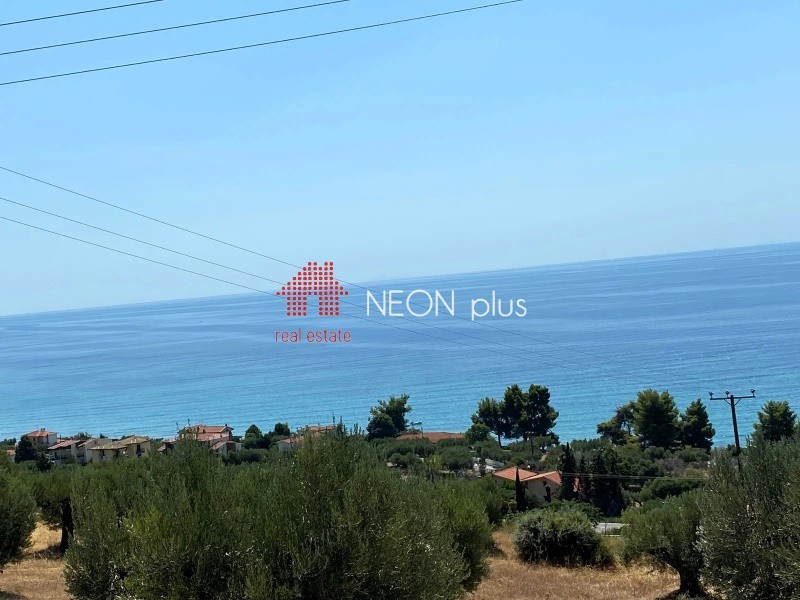 Αγροτεμάχια 4.735 τ.μ. πρός πώληση, Χαλκιδική, Κασσάνδρα