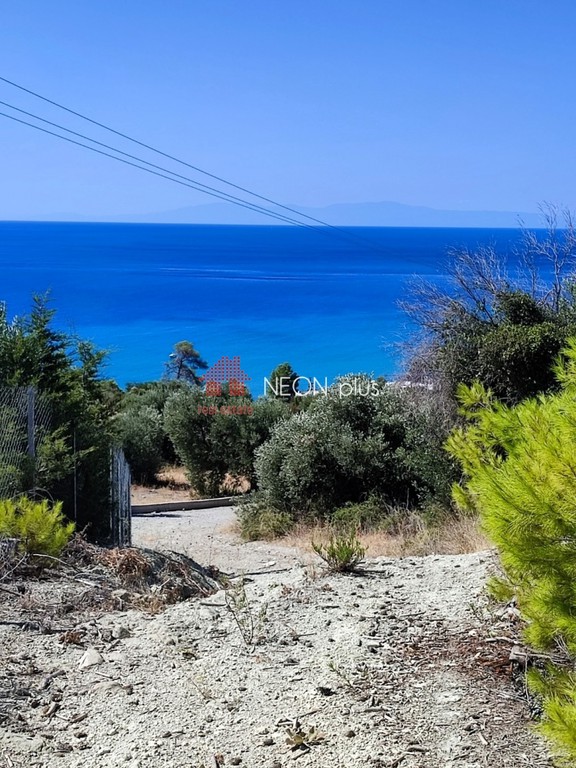 Αγροτεμάχια 4.735 τ.μ. πρός πώληση, Χαλκιδική, Κασσάνδρα