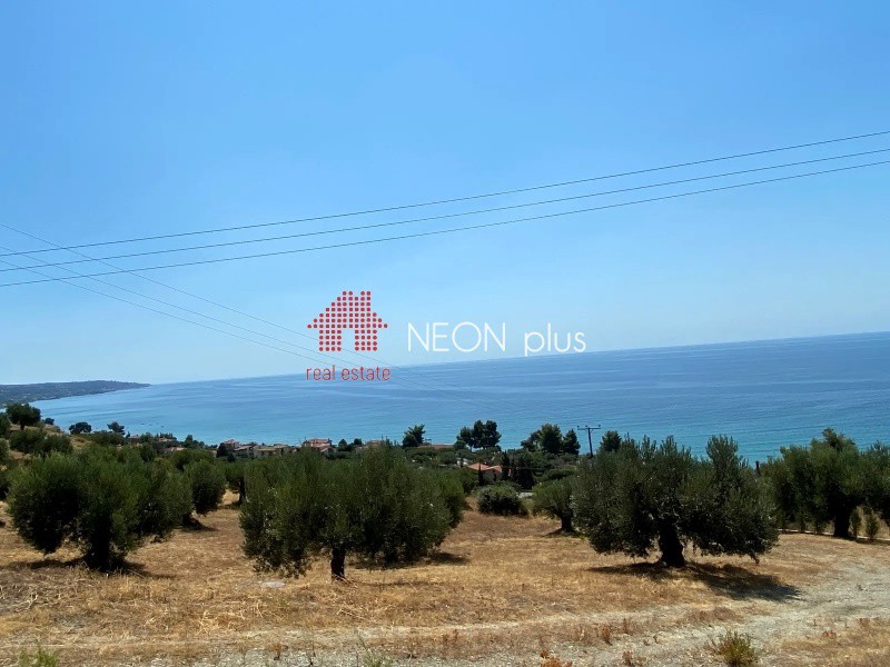 Αγροτεμάχια 4.735 τ.μ. πρός πώληση, Χαλκιδική, Κασσάνδρα
