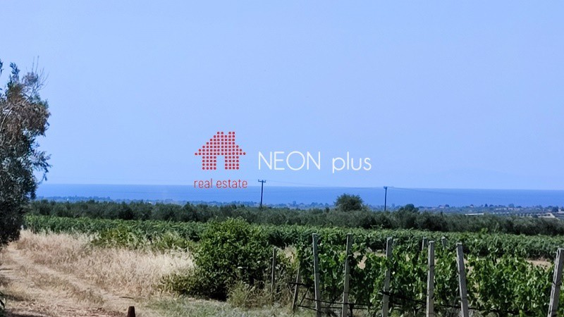 Αγροτεμάχια 12.000 τ.μ. πρός πώληση, Χαλκιδική, Καλλικράτεια