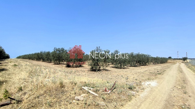 Αγροτεμάχια 12.000 τ.μ. πρός πώληση, Χαλκιδική, Καλλικράτεια