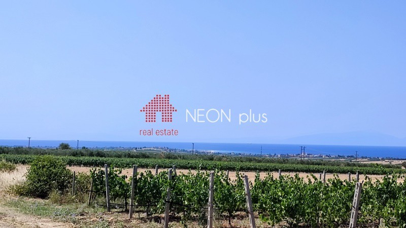 Αγροτεμάχια 12.000 τ.μ. πρός πώληση, Χαλκιδική, Καλλικράτεια