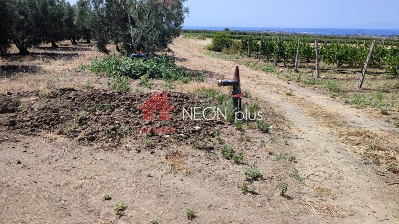 Αγροτεμάχια 12.000 τ.μ. πρός πώληση, Χαλκιδική, Καλλικράτεια
