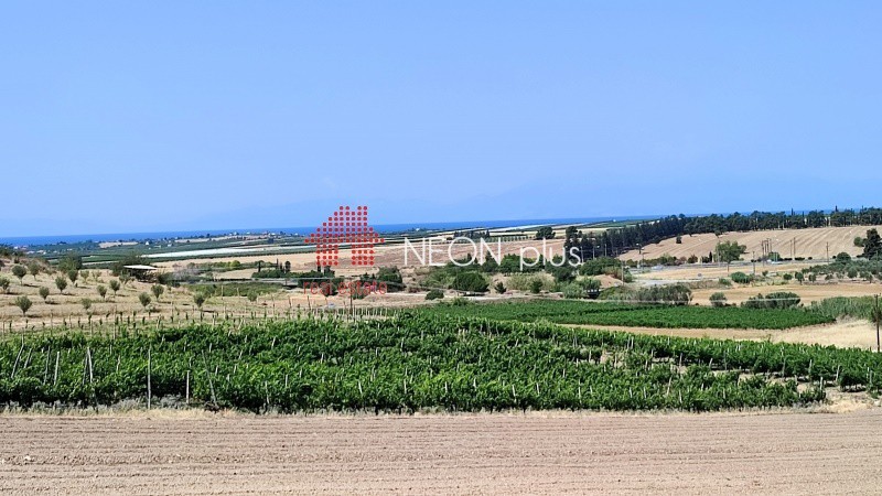 Αγροτεμάχια 7.500 τ.μ. πρός πώληση, Χαλκιδική, Καλλικράτεια