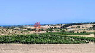 Αγροτεμάχια 7.500 τ.μ. για πώληση