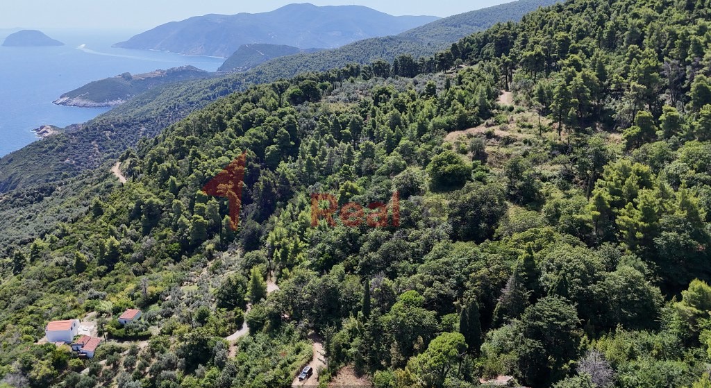 Αγροτεμάχια 4.033 τ.μ. προς πώληση, Καλόγηρος Σκοπέλου