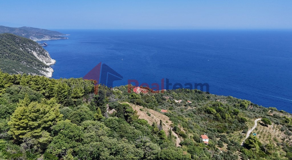 Αγροτεμάχια 4.033 τ.μ. προς πώληση, Καλόγηρος Σκοπέλου