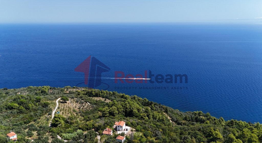 Αγροτεμάχια 4.033 τ.μ. προς πώληση, Καλόγηρος Σκοπέλου
