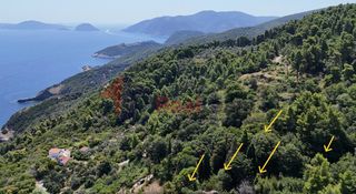 Αγροτεμάχια 4.033 τ.μ. για πώληση