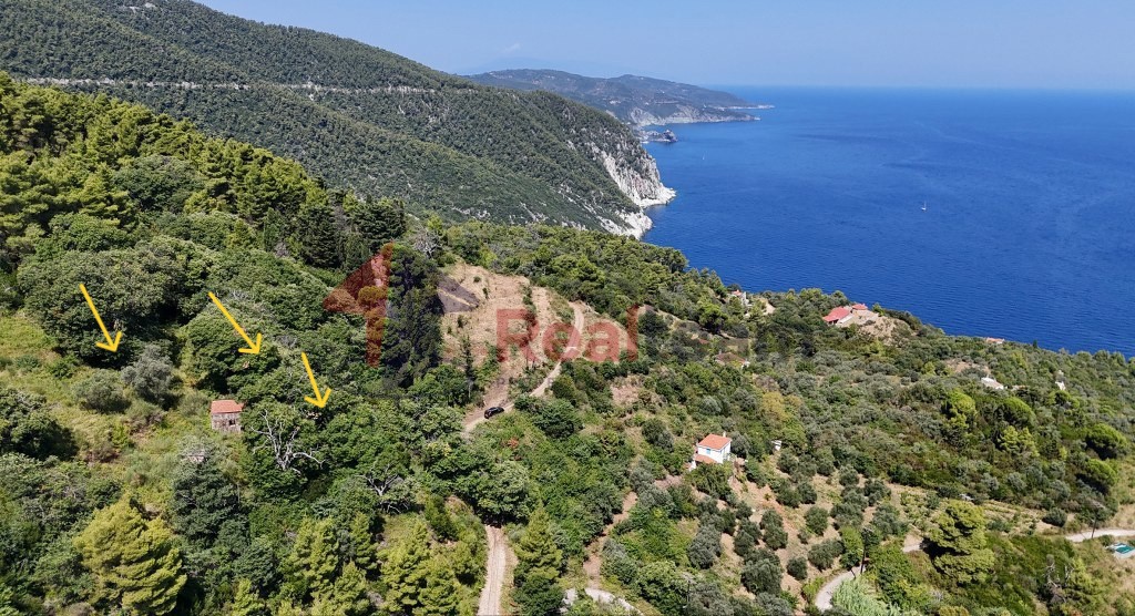 Αγροτεμάχια 4.033 τ.μ. προς πώληση, Καλόγηρος Σκοπέλου
