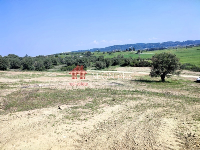 Αγροτεμάχια 5.107 τ.μ. πρός πώληση, Χαλκιδική, Κασσάνδρα