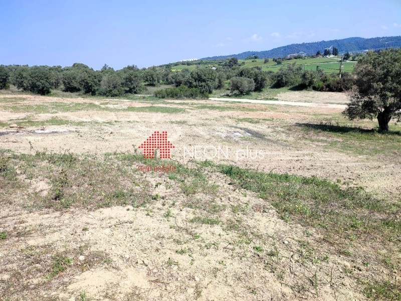 Αγροτεμάχια 5.107 τ.μ. πρός πώληση, Χαλκιδική, Κασσάνδρα