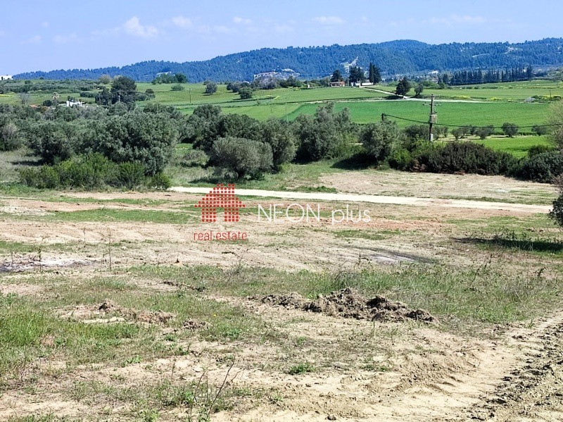Αγροτεμάχια 5.107 τ.μ. πρός πώληση, Χαλκιδική, Κασσάνδρα