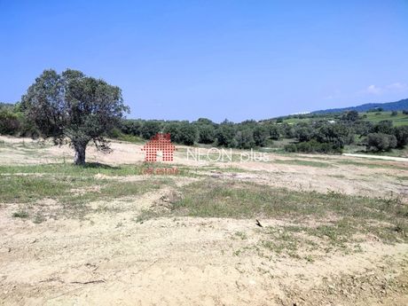 Αγροτεμάχια 5.107 τ.μ. πρός πώληση