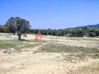 Αγροτεμάχια 5.107 τ.μ. για πώληση