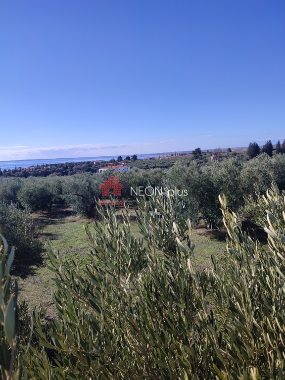 Αγροτεμάχια 27.605 τ.μ. πρός πώληση, Χαλκιδική, Πολύγυρος
