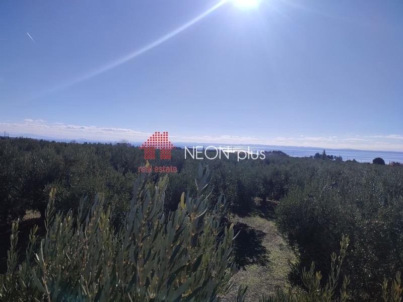 Αγροτεμάχια 27.605 τ.μ. πρός πώληση, Χαλκιδική, Πολύγυρος