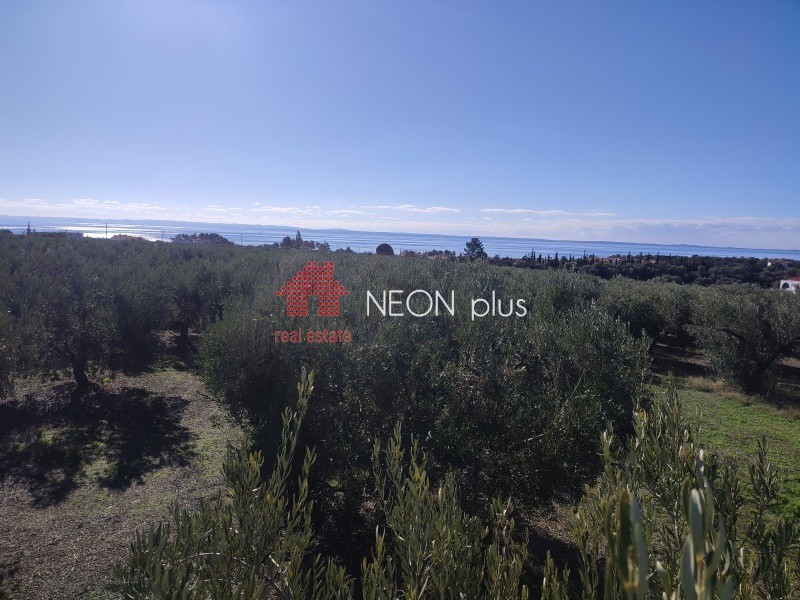 Αγροτεμάχια 27.605 τ.μ. πρός πώληση, Χαλκιδική, Πολύγυρος