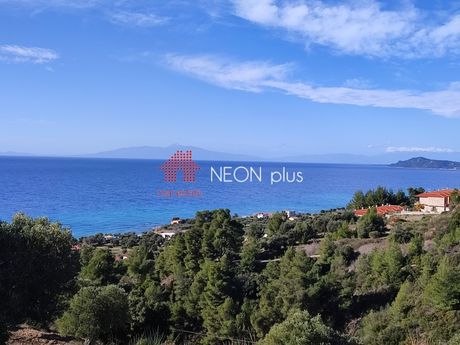 Αγροτεμάχια 8.000 τ.μ. πρός πώληση