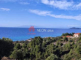 Αγροτεμάχια 8.000 τ.μ. για πώληση