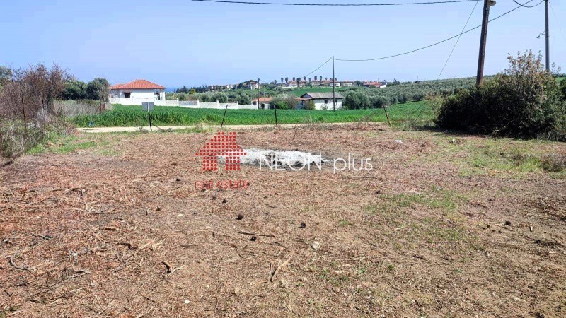Αγροτεμάχια 460 τ.μ. πρός πώληση, Χαλκιδική, Μουδανιά